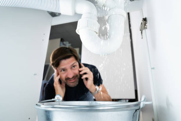 Best Local Plumber Services  in Conrad, IA